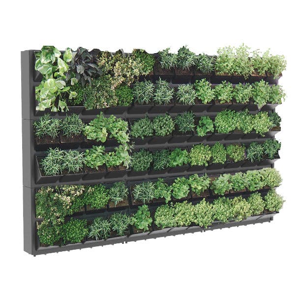 verde verticale 72 piante nero