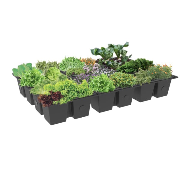 Green Surface 24 pots